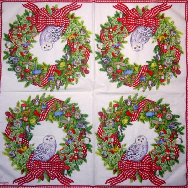 116 Eulen-lagig - Kalamazoo - CS - 24x24cm